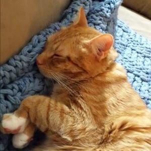 Meet your Posher, Leslie